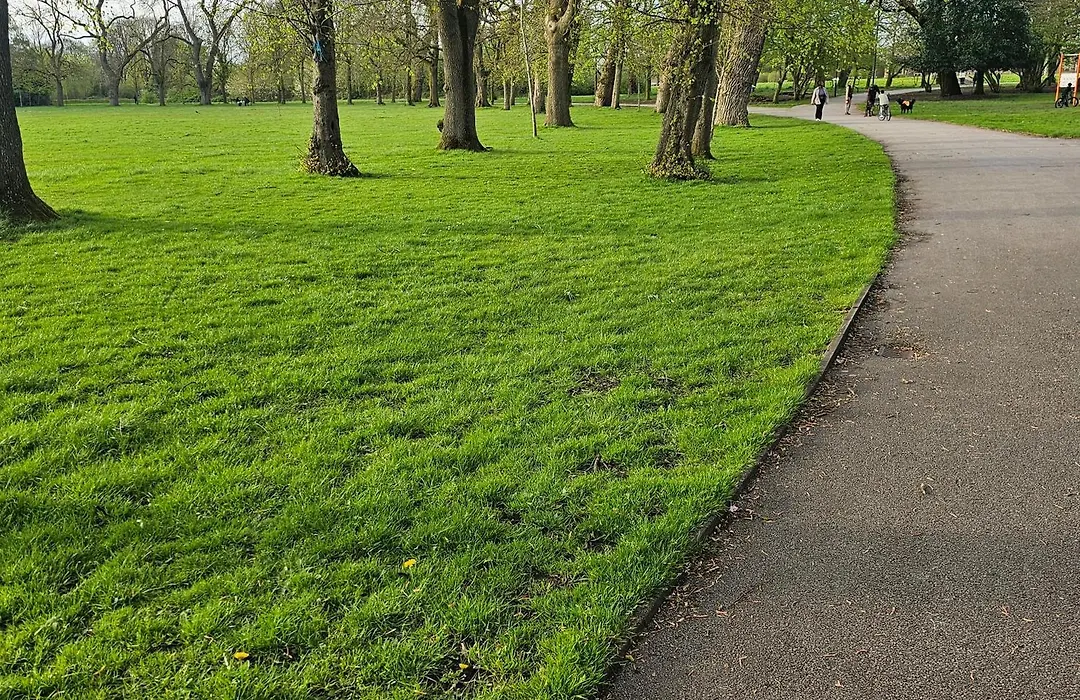 Апартаменты Alexandra Park *